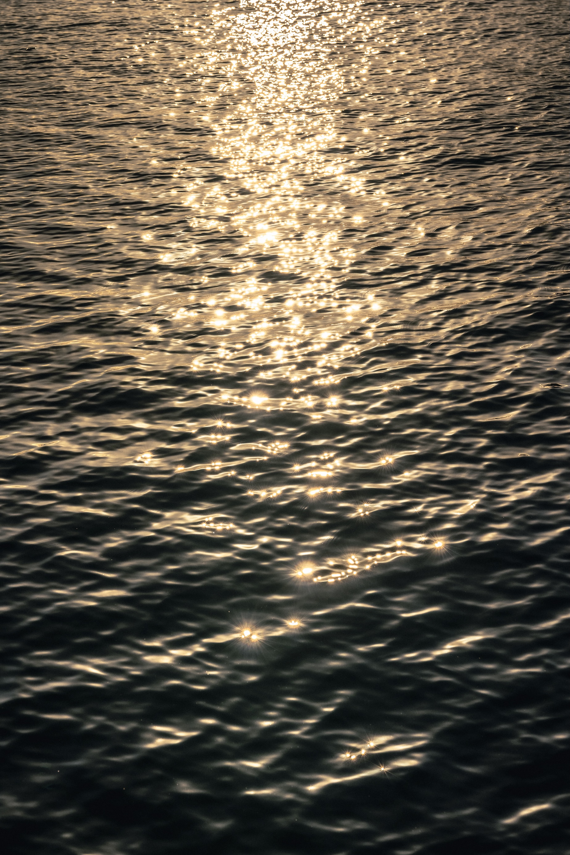 Photographe en Martinique — Paul Michaud, photographe Martinique & Antilles