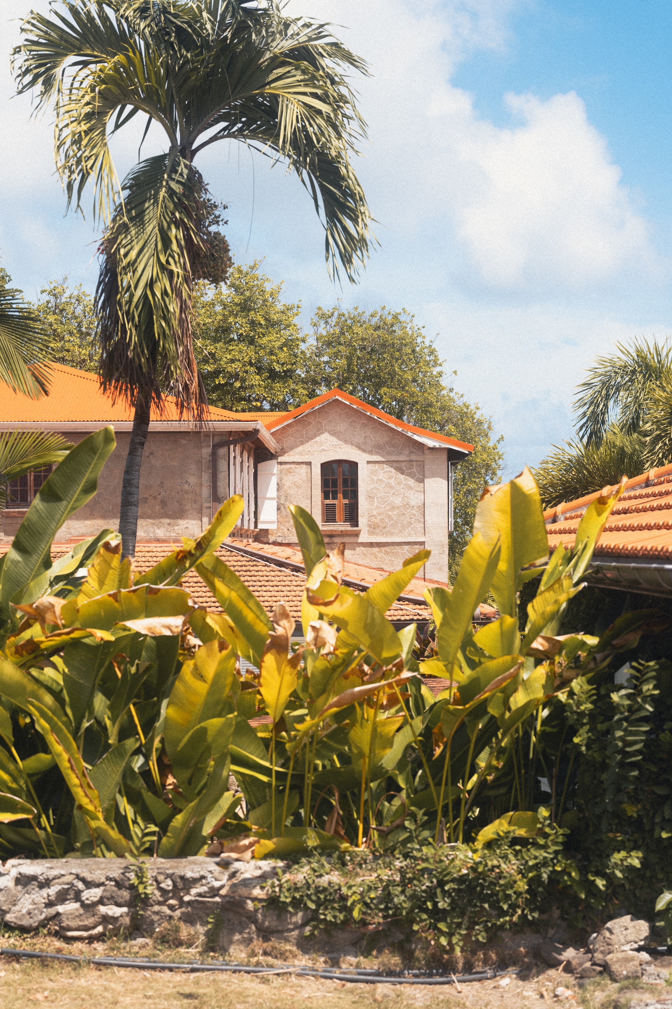 Photographe en Martinique - Rhum A1710 — Paul Michaud, photographe Martinique & Antilles