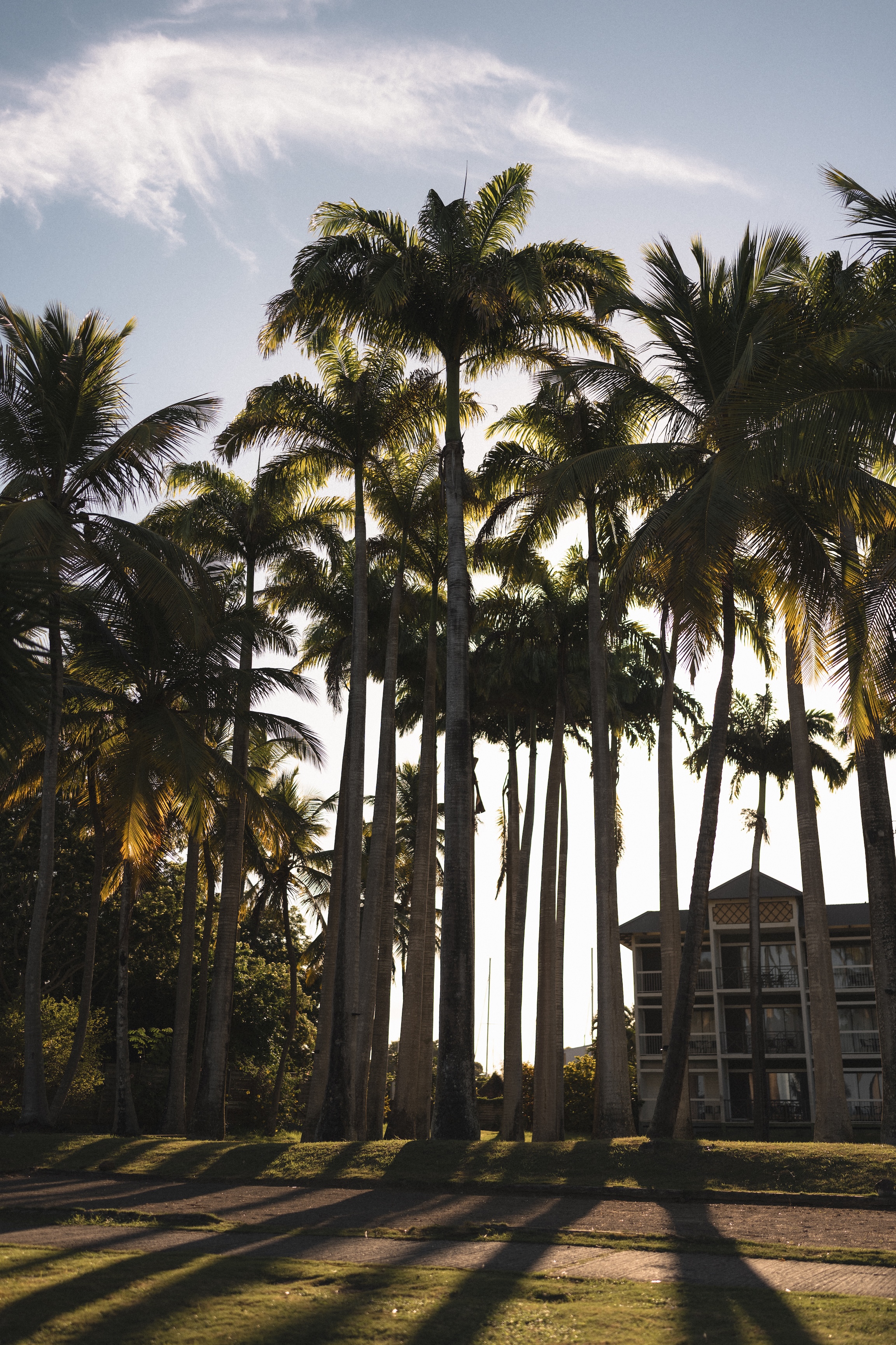Photographe en Martinique — Paul Michaud, photographe Martinique & Antilles