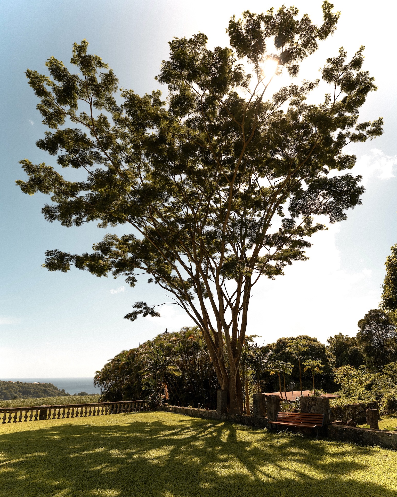 Photographe en Martinique – Distillerie de Rhum — Paul Michaud, photographe Martinique & Antilles