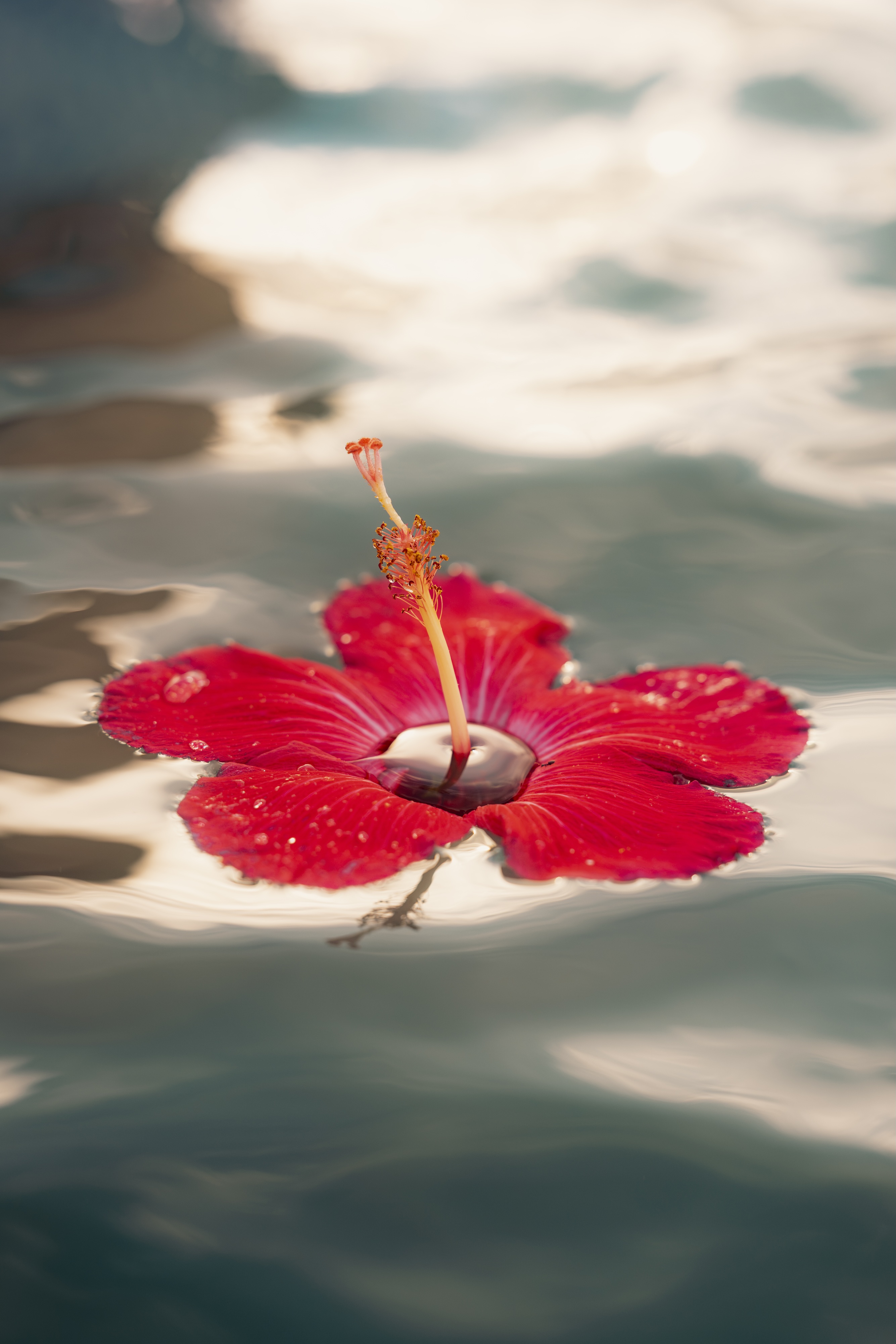 Shooting photo en Martinique — Paul Michaud, photographe Martinique & Antilles