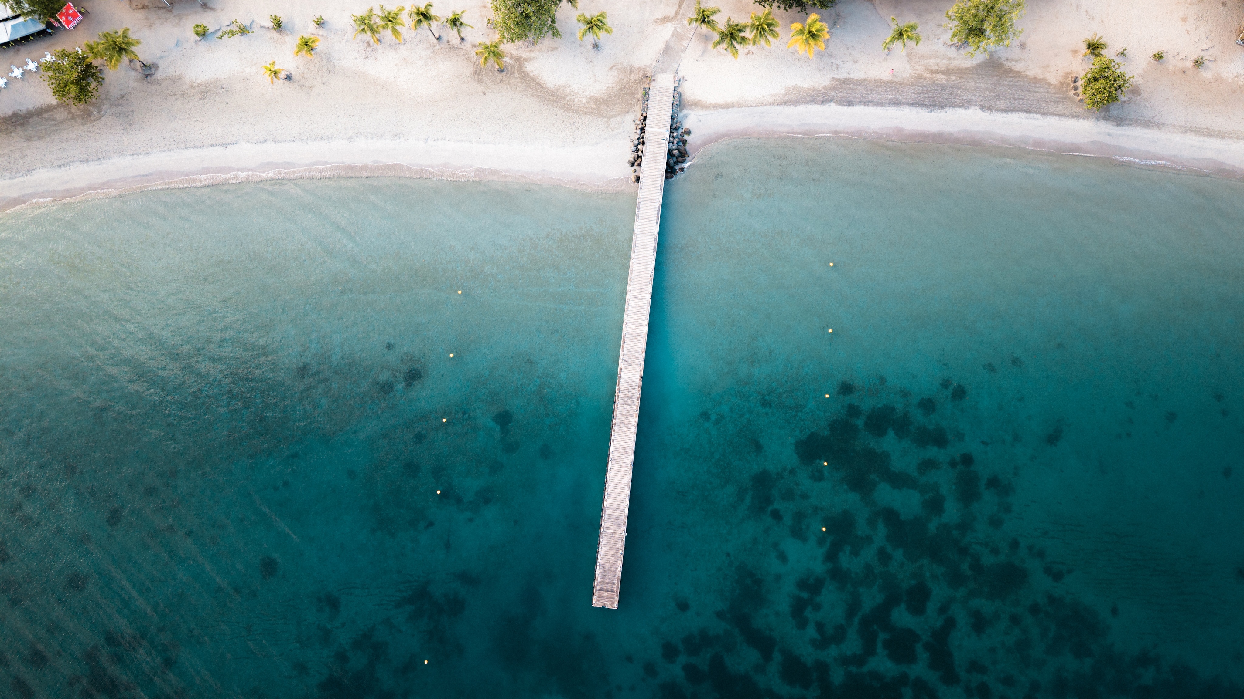 Photographe en Martinique — Paul Michaud, photographe en Martinique & Antilles