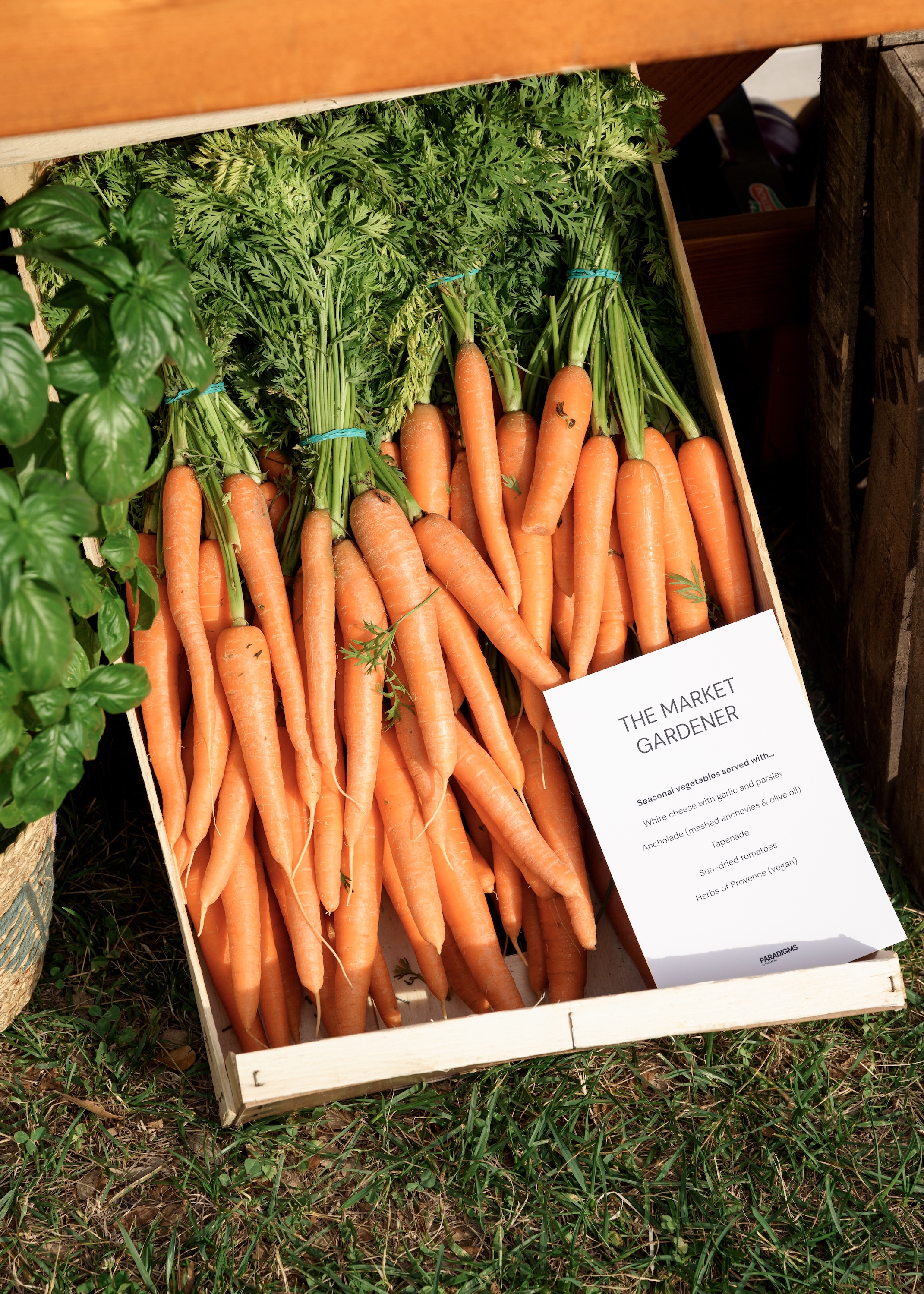 Photographe vidéaste événementiel – Le Marché Provençal par France Prestige Services — Paul Michaud, photographe Martinique & Antilles