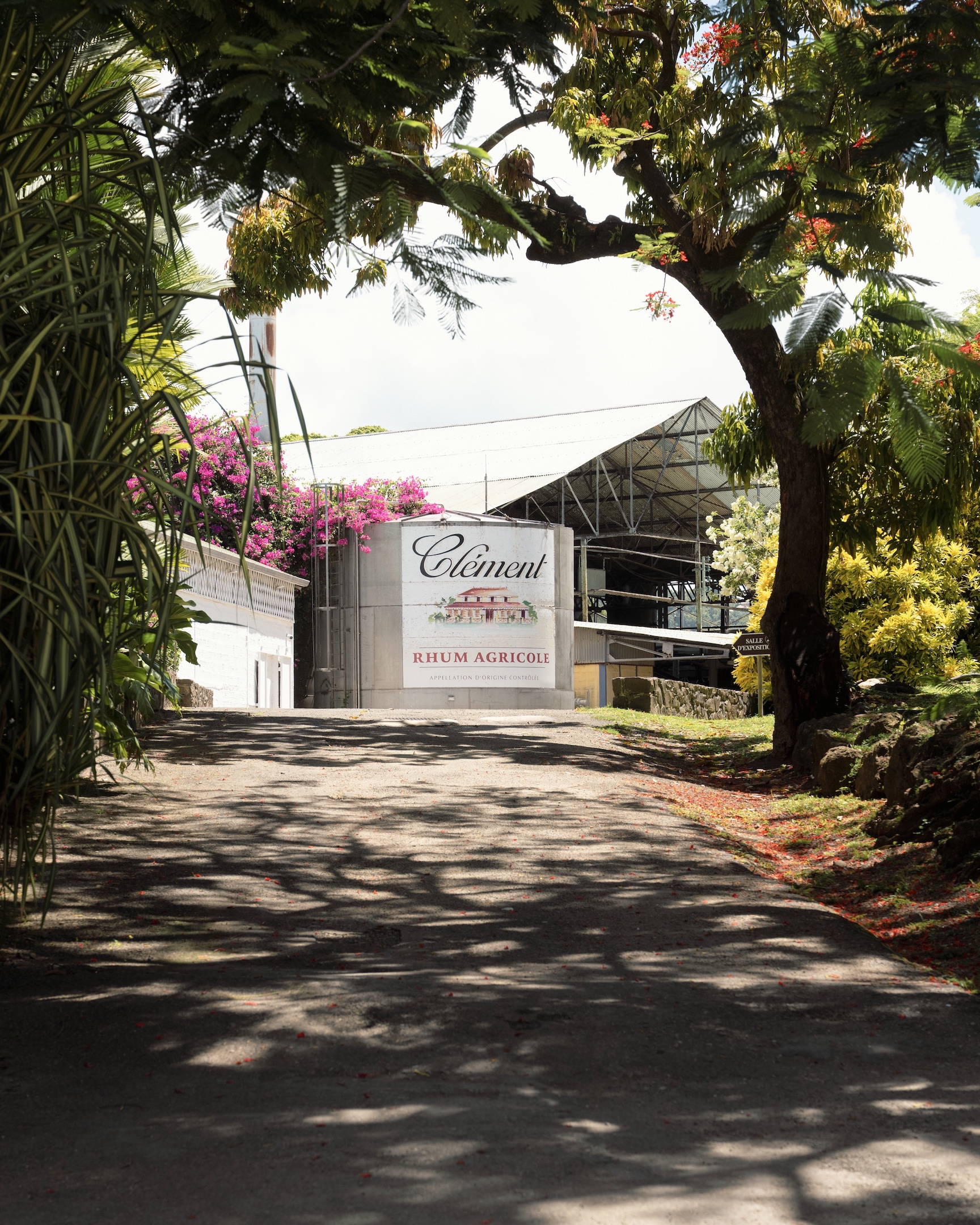 Photographe & Vidéaste en Martinique – Habitation Clément — Paul Michaud, photographe Martinique & Antilles